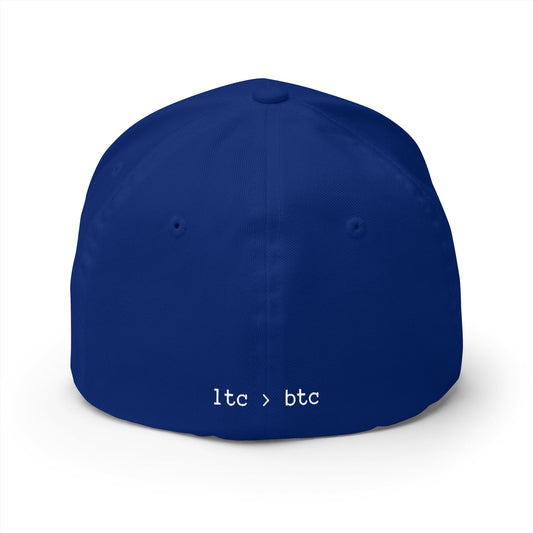 Embroidered Crypto Logo Cap — 'look into ' Front & 'ltc > btc' Back