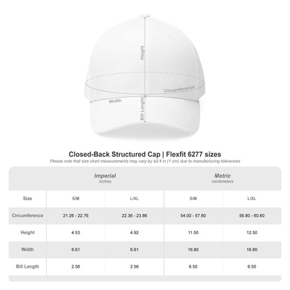 Embroidered Crypto Logo Cap — 'look into ' Front & 'ltc > btc' Back