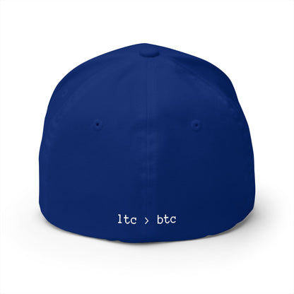 Embroidered Crypto Logo Cap — 'look into ' Front & 'ltc > btc' Back